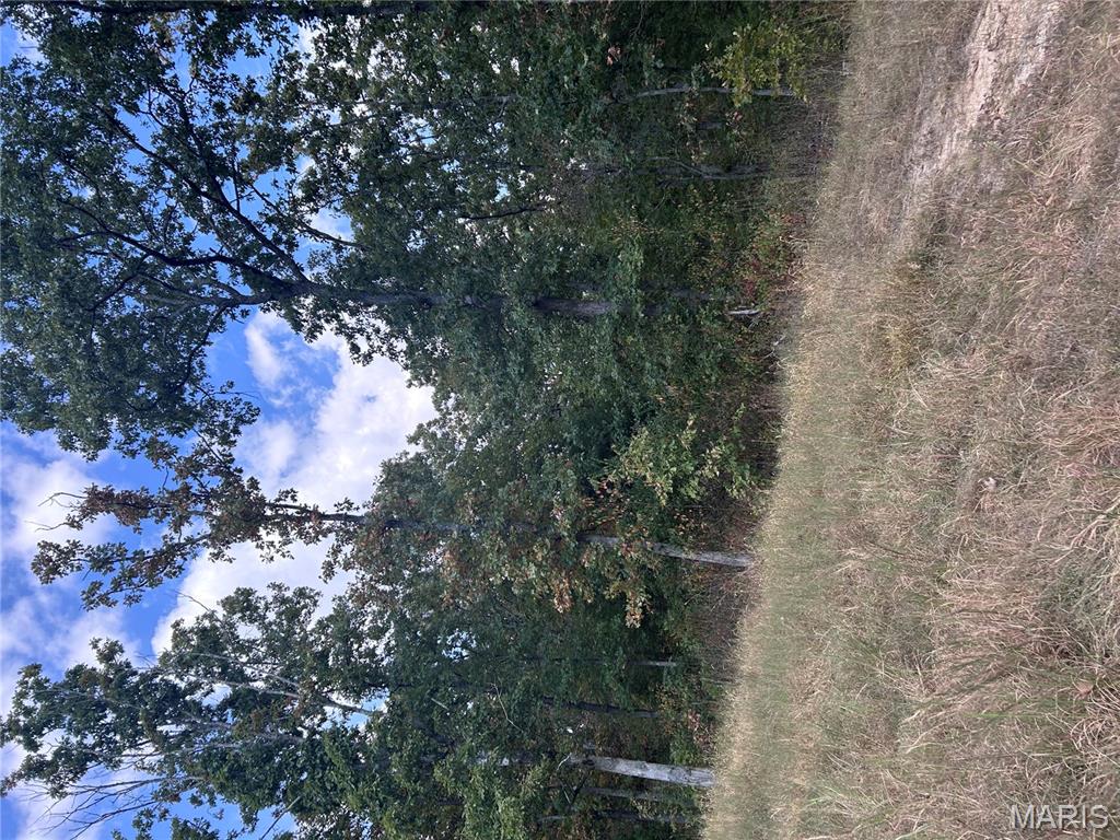 266 Pine Valley Lane