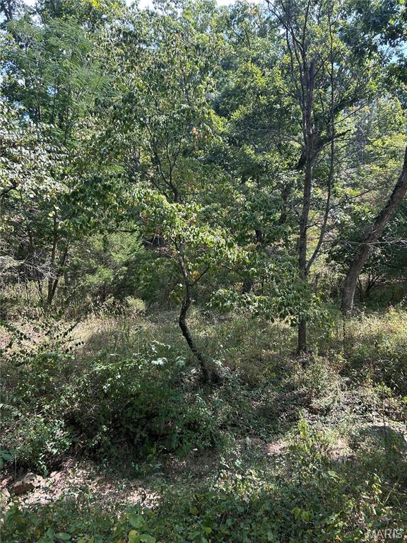 266 Pine Valley Lane