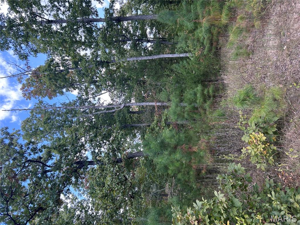 266 Pine Valley Lane