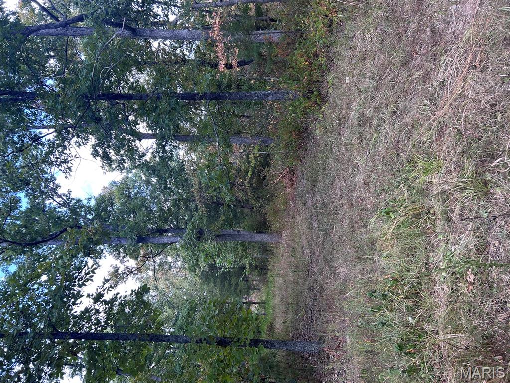 266 Pine Valley Lane