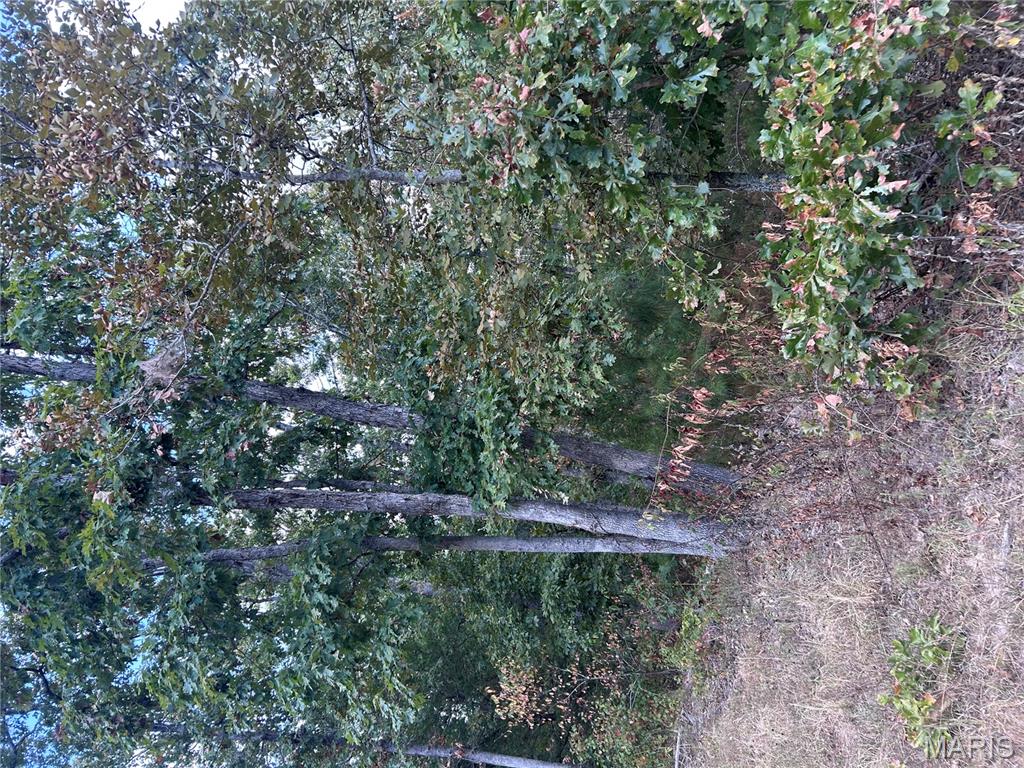 266 Pine Valley Lane