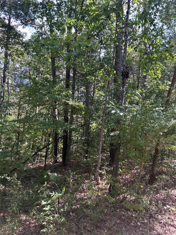 266 Pine Valley Lane