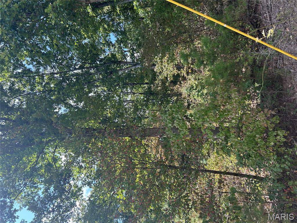 266 Pine Valley Lane