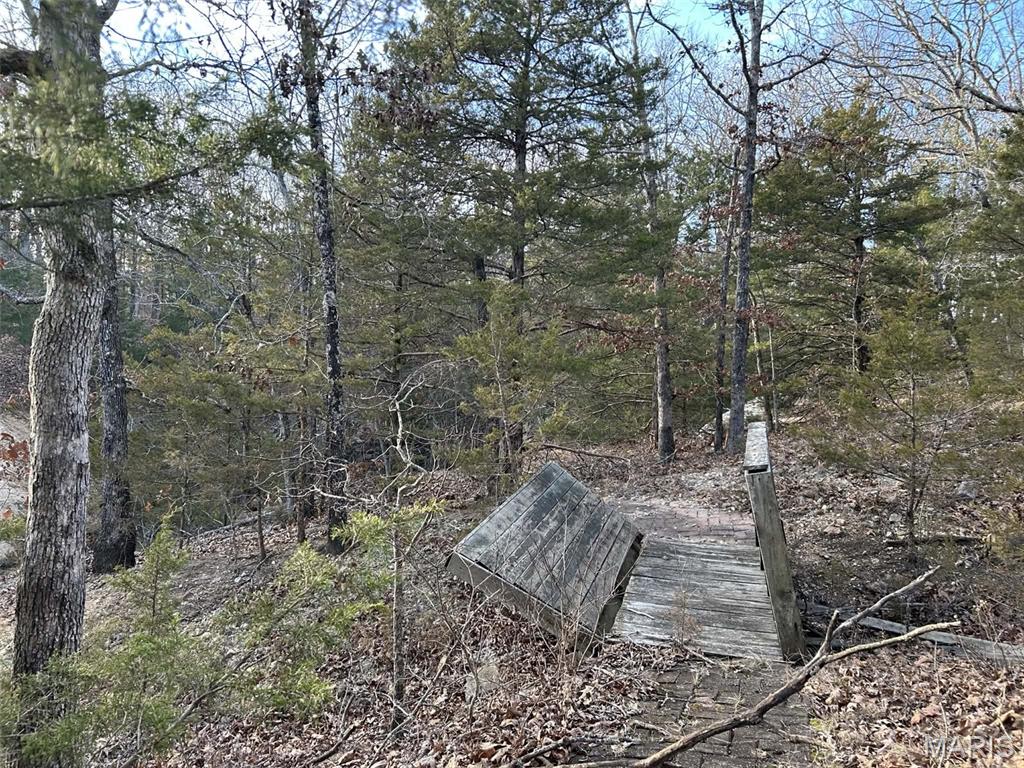 Lot 11 Danz Forest Drive