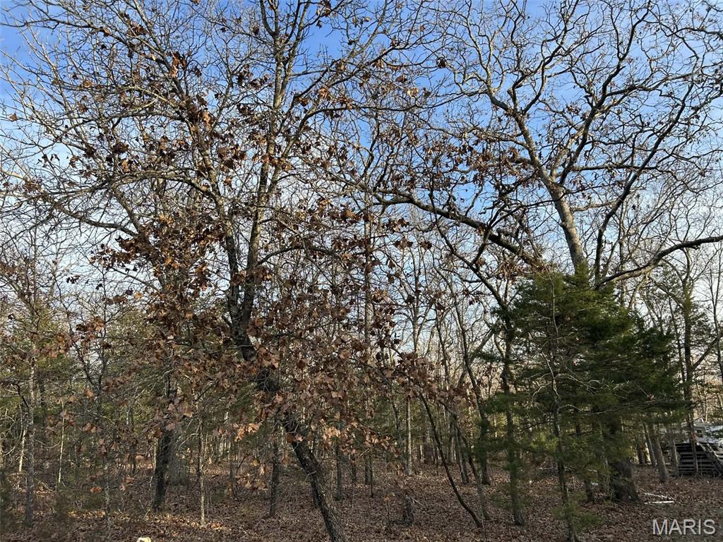 Lot 11 Danz Forest Drive