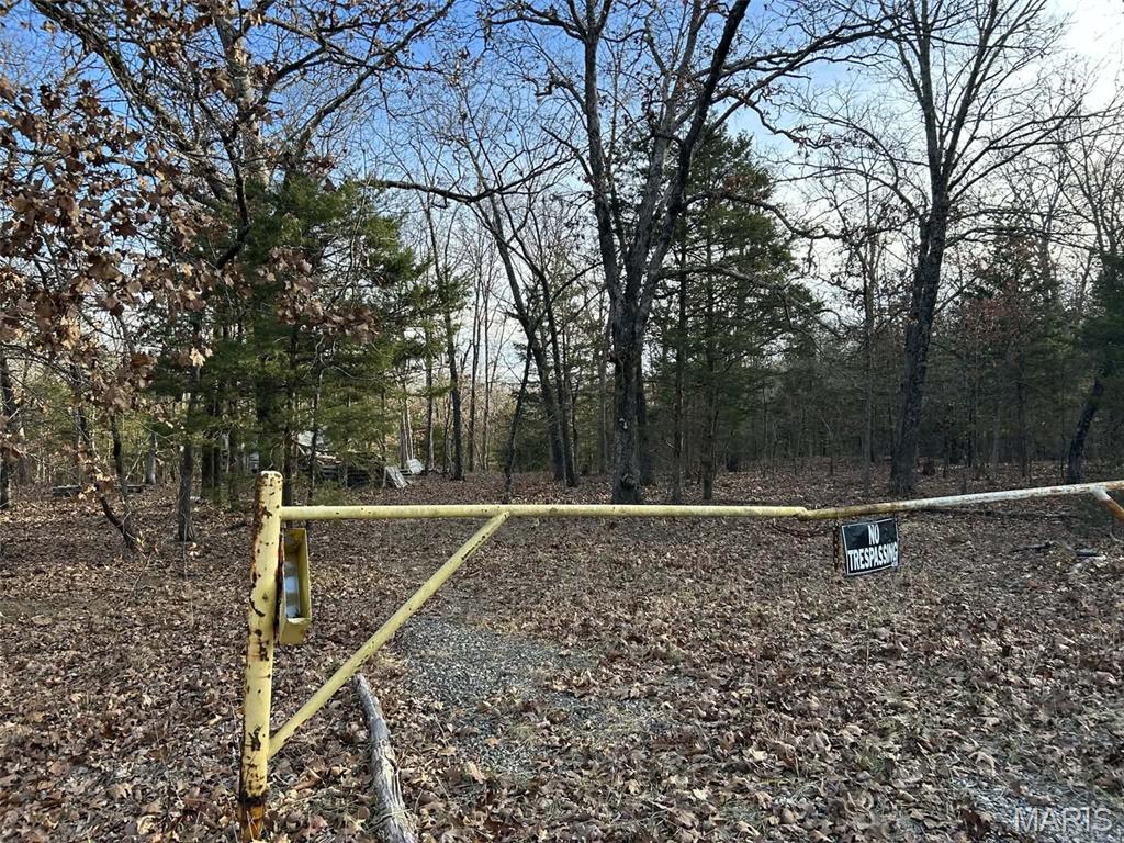 Lot 11 Danz Forest Drive