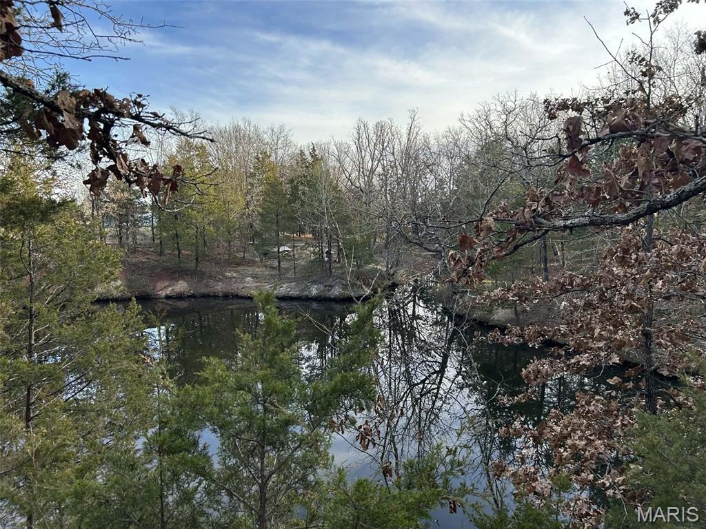 Lot 11 Danz Forest Drive