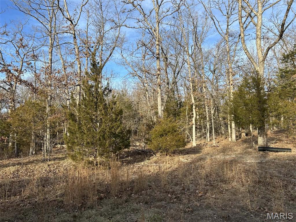 Lot 11 Danz Forest Drive