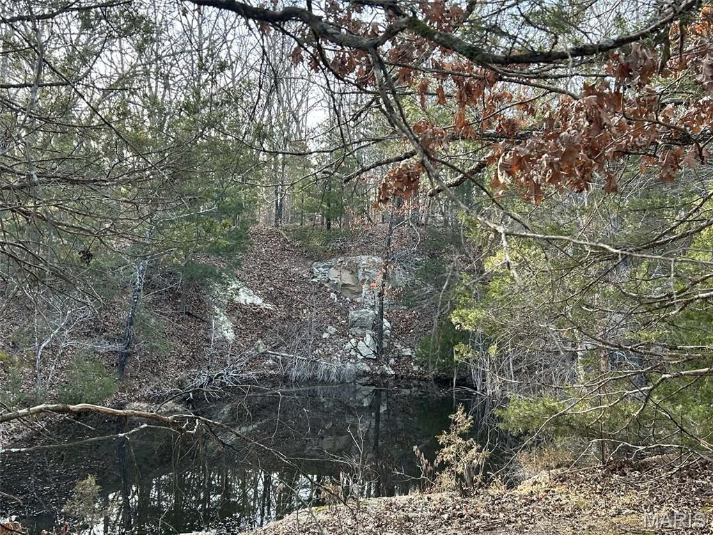 Lot 11 Danz Forest Drive
