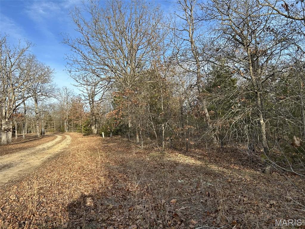 Lot 11 Danz Forest Drive