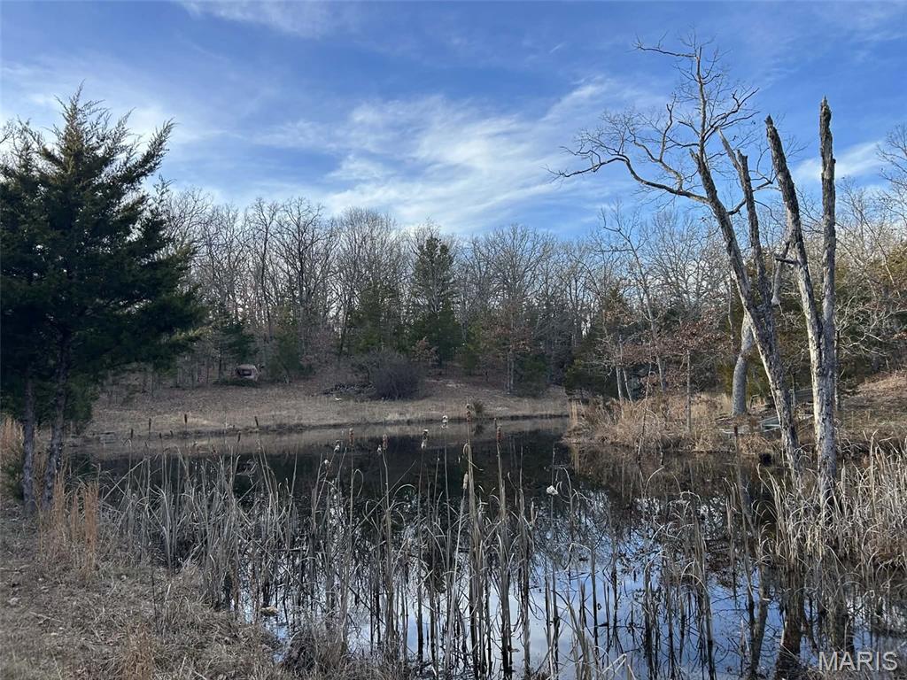 Lot 11 Danz Forest Drive