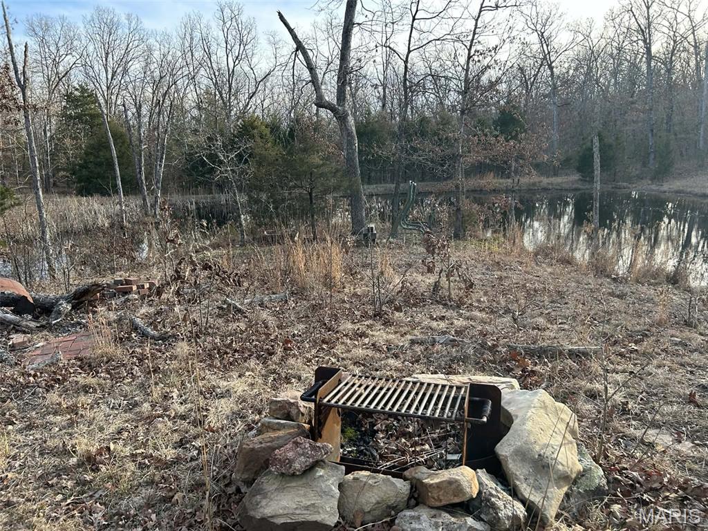 Lot 11 Danz Forest Drive