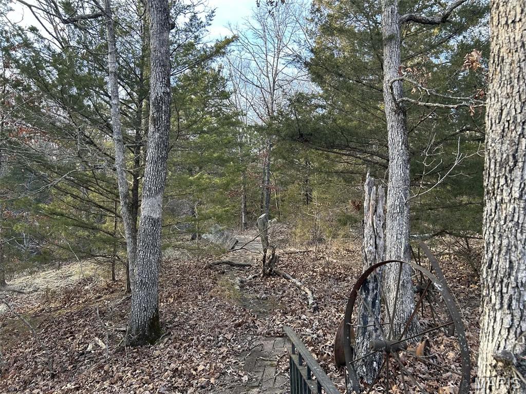 Lot 11 Danz Forest Drive