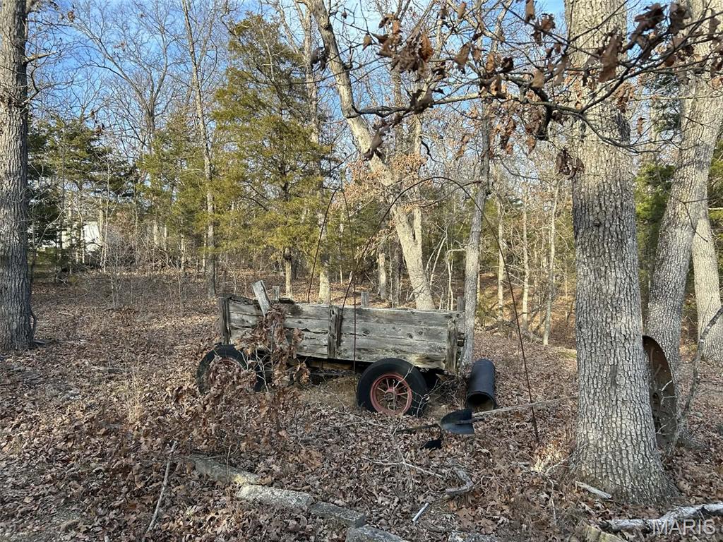Lot 11 Danz Forest Drive