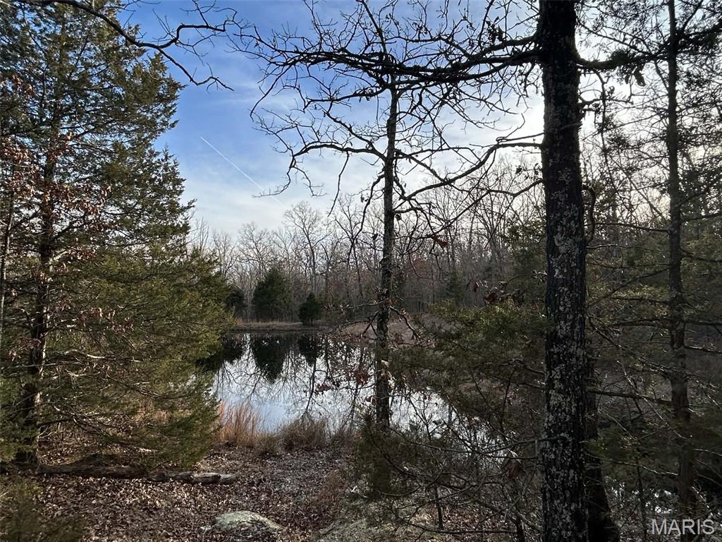 Lot 11 Danz Forest Drive