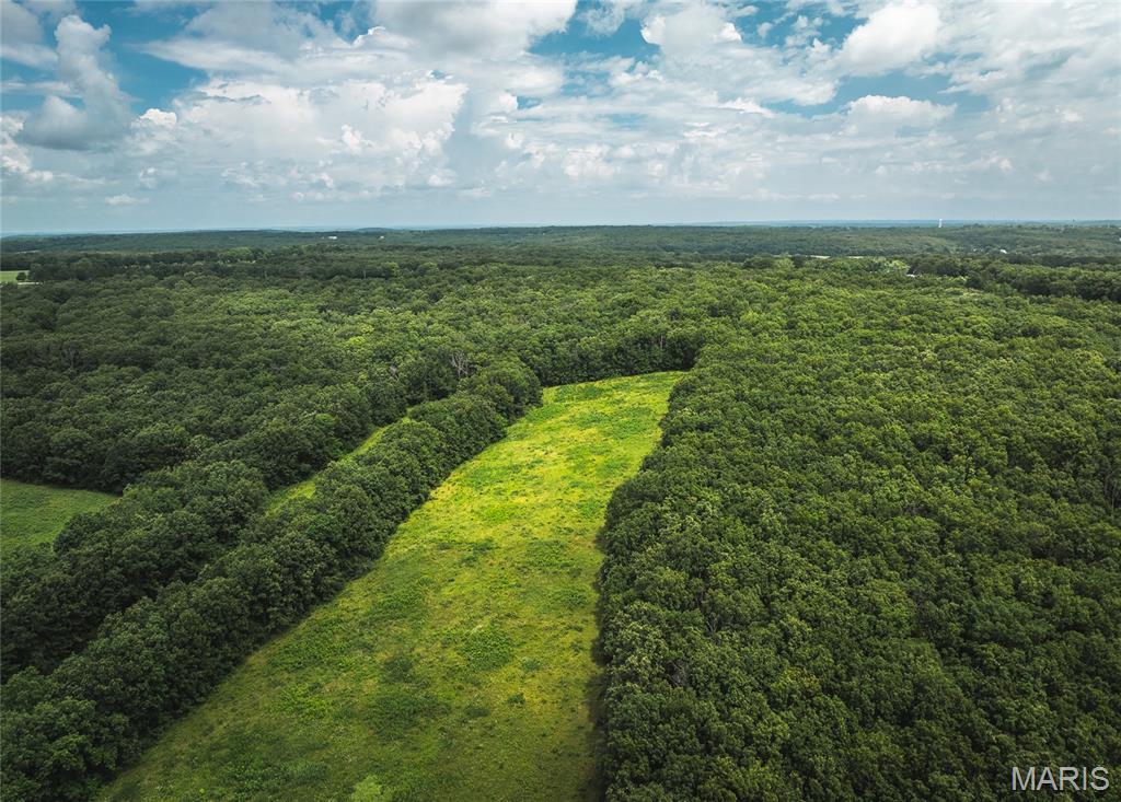 25260 County Road 406