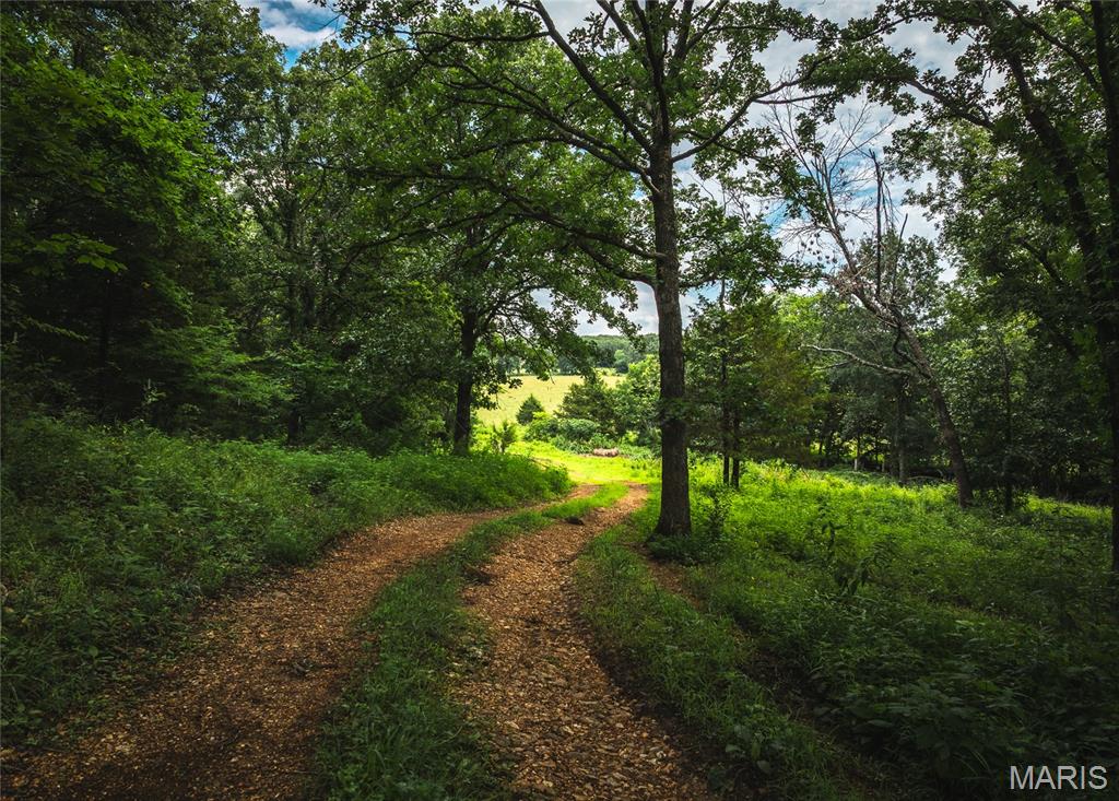 25260 County Road 406