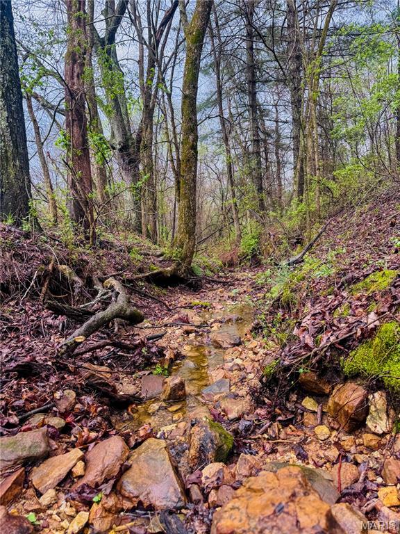 20+- Acres Forest Hill Road