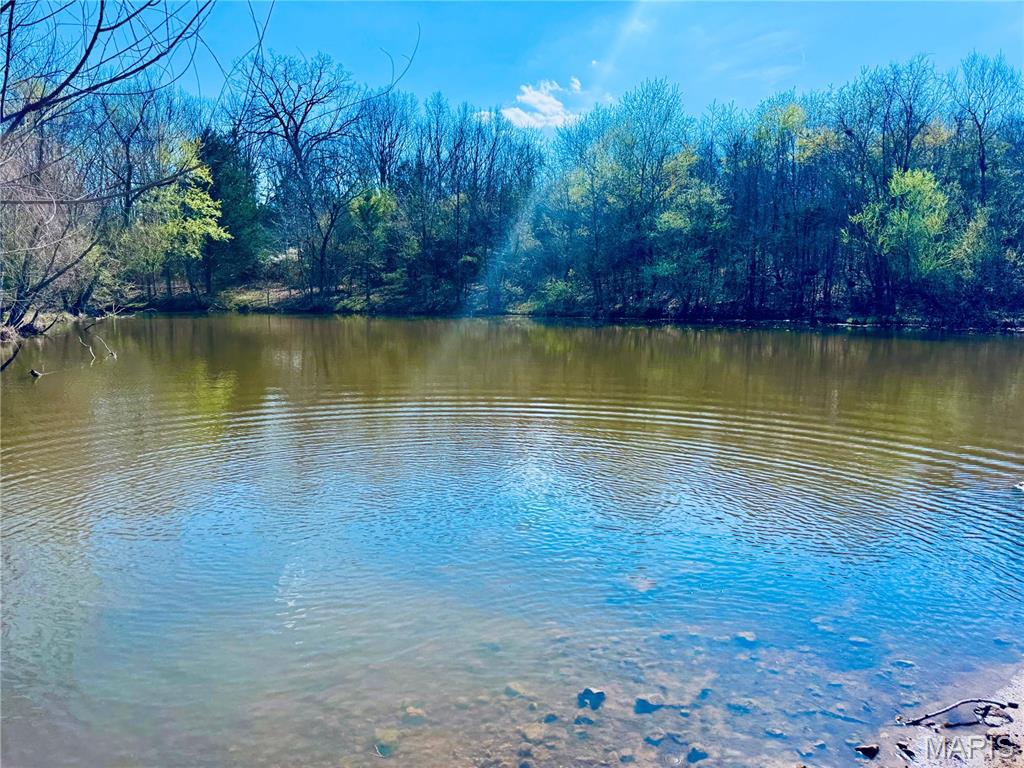 20+- Acres Forest Hill Road