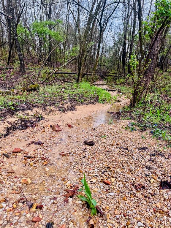 20+- Acres Forest Hill Road
