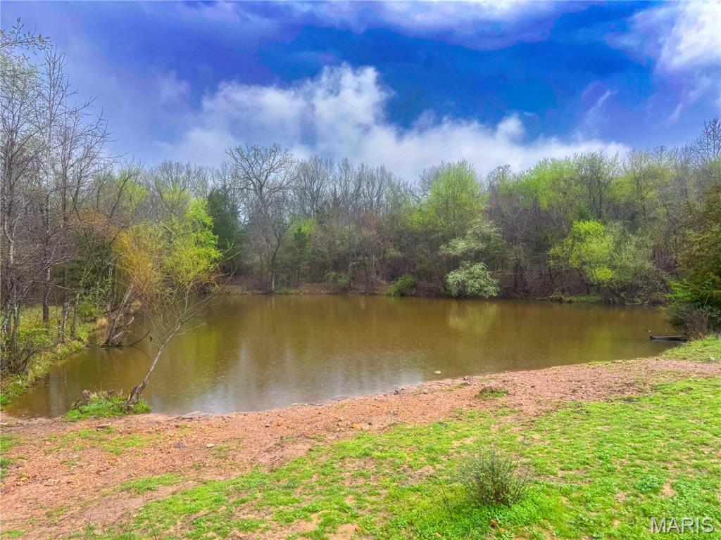 20+- Acres Forest Hill Road