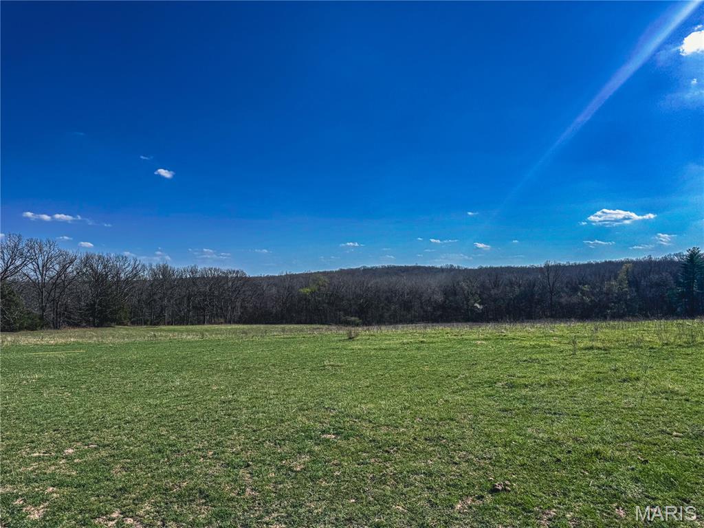 20+- Acres Forest Hill Road