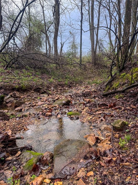 20+- Acres Forest Hill Road
