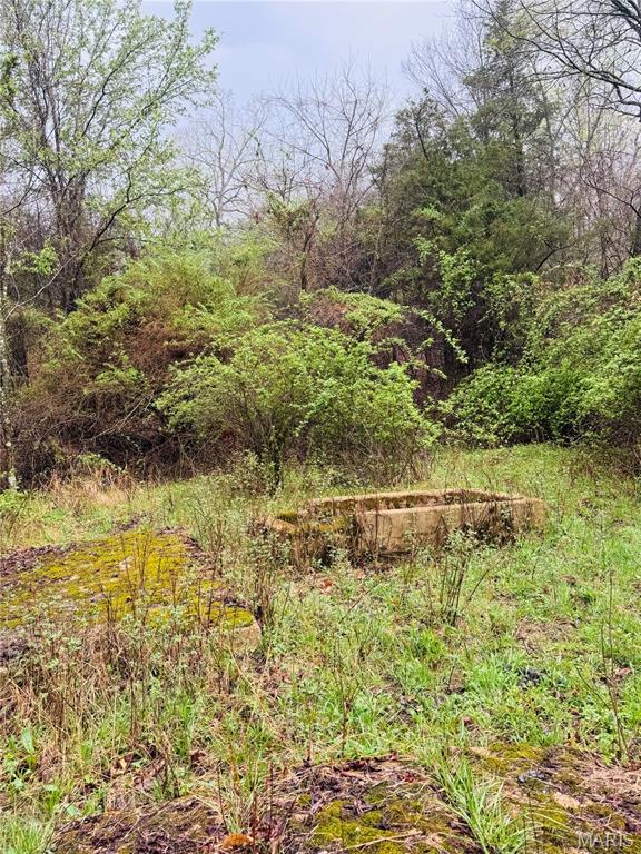 20+- Acres Forest Hill Road