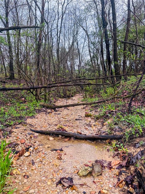 20+- Acres Forest Hill Road