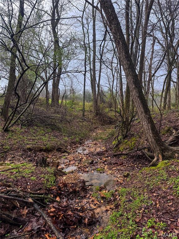 20+- Acres Forest Hill Road