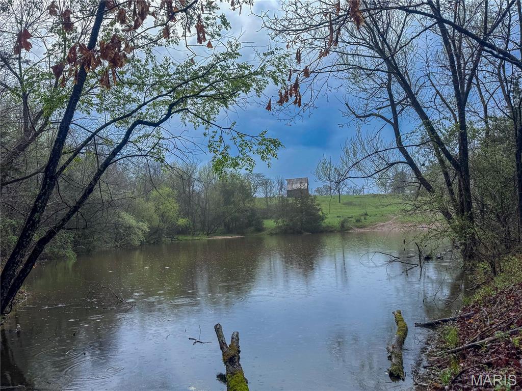 20+- Acres Forest Hill Road