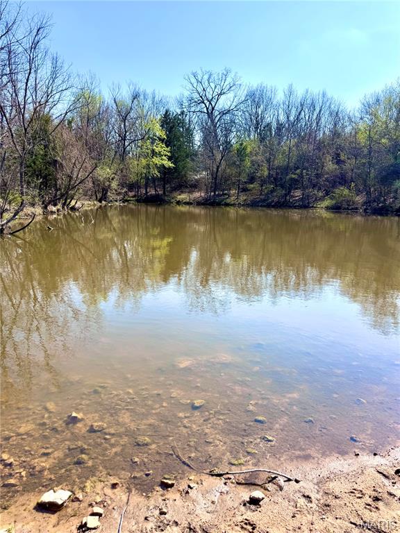 20+- Acres Forest Hill Road