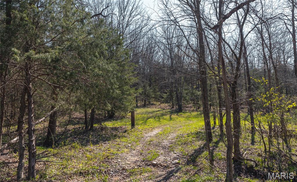 3773 Blocks Branch Road