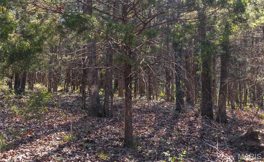 3773 Blocks Branch Road