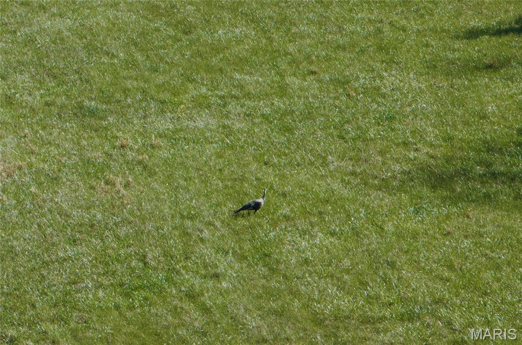 3773 Blocks Branch Road