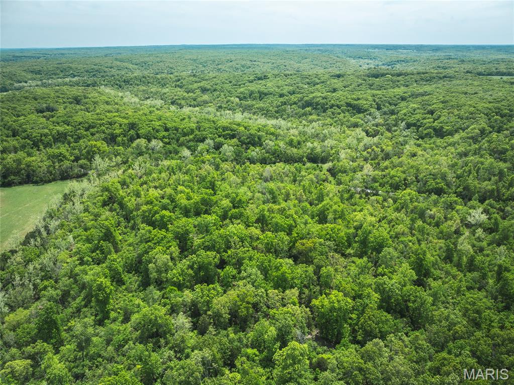 0 Lot G, Armadillo Lane