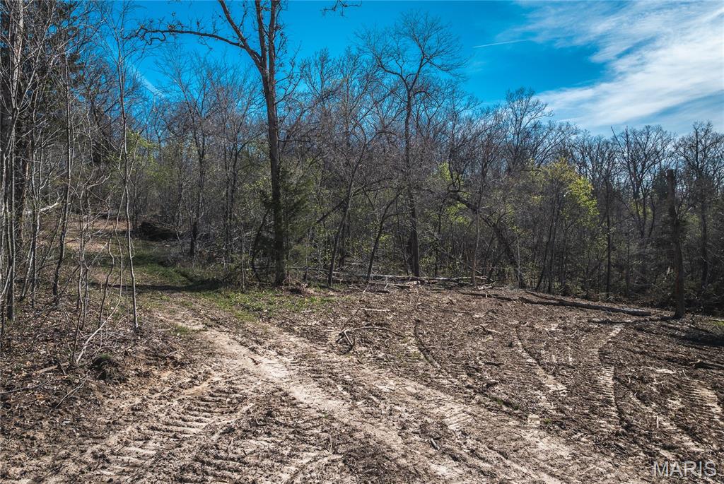 0 Lot G, Armadillo Lane