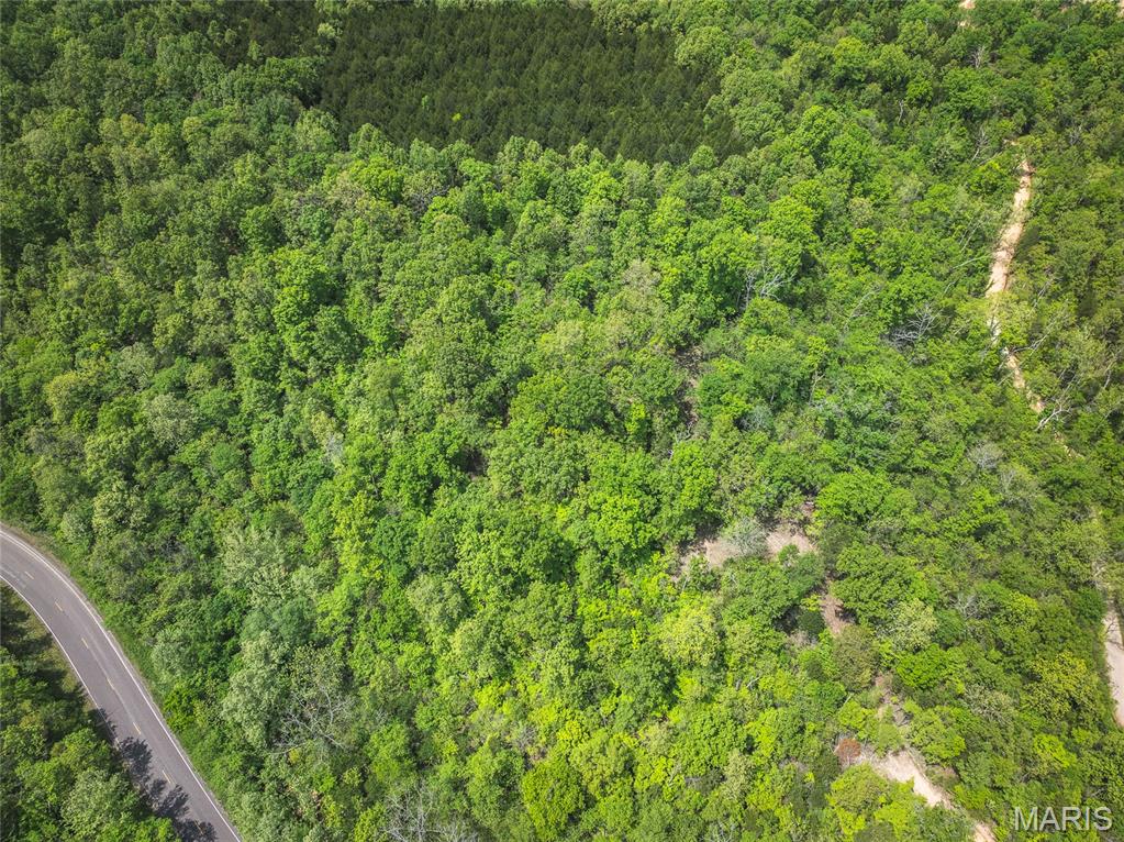 0 Lot H Armadillo Lane