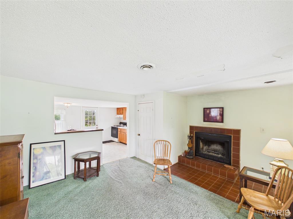 310 Boone Creek Lane