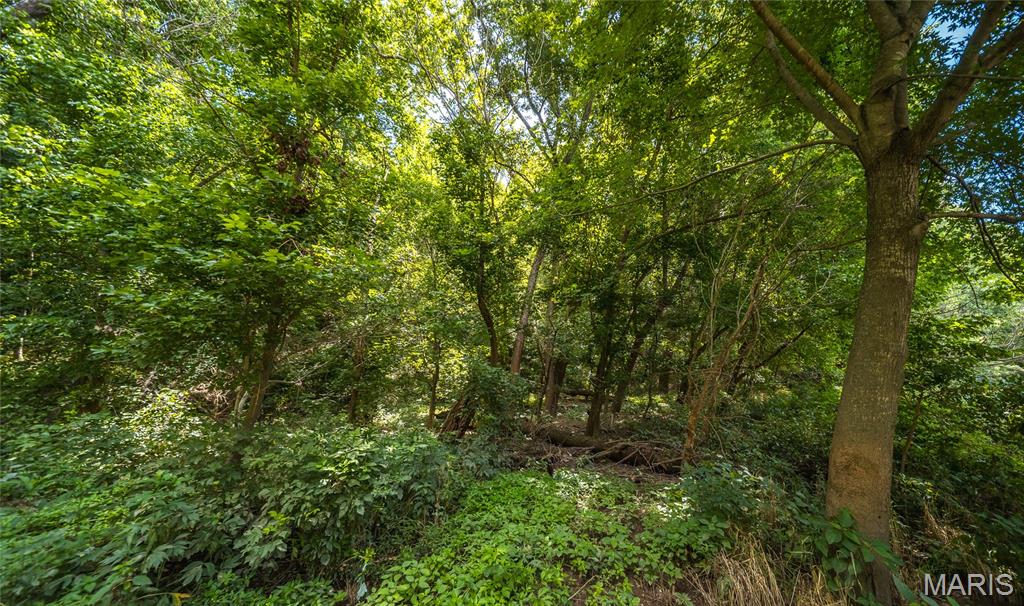 2384 Tea Road