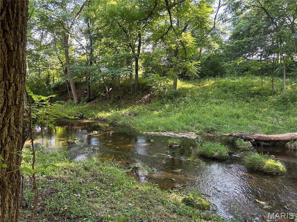 559 Brush Creek Road
