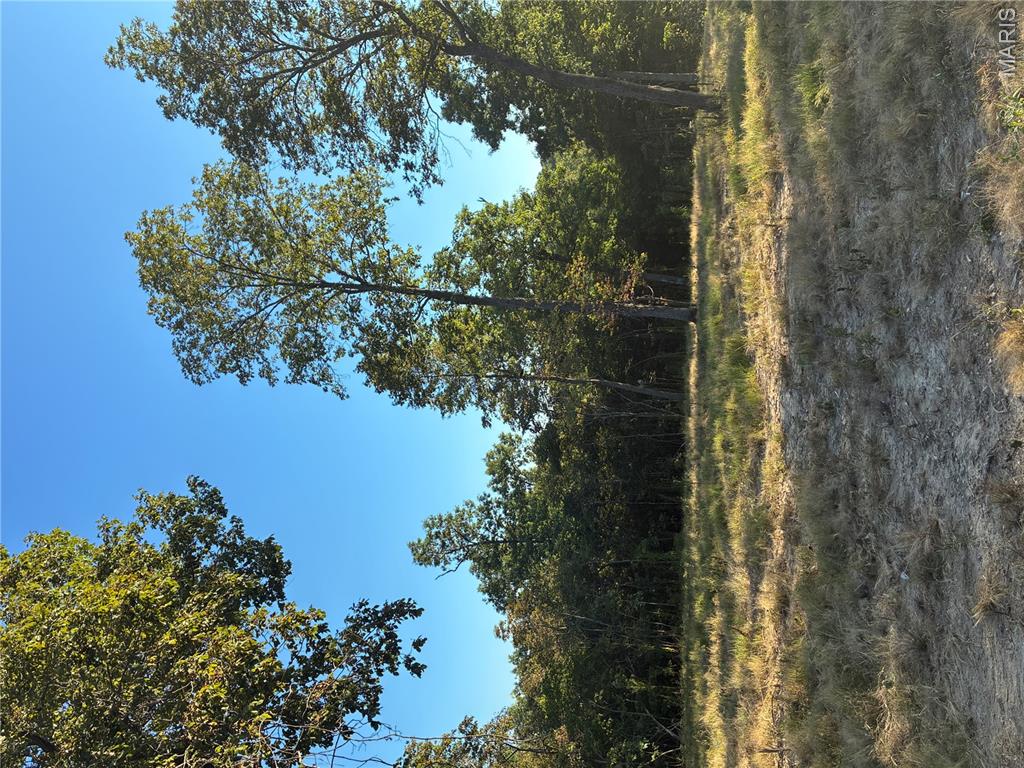 0 Lot H Armadillo Lane