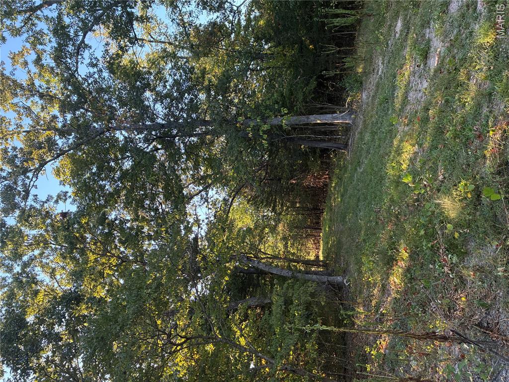 0 Lot H Armadillo Lane