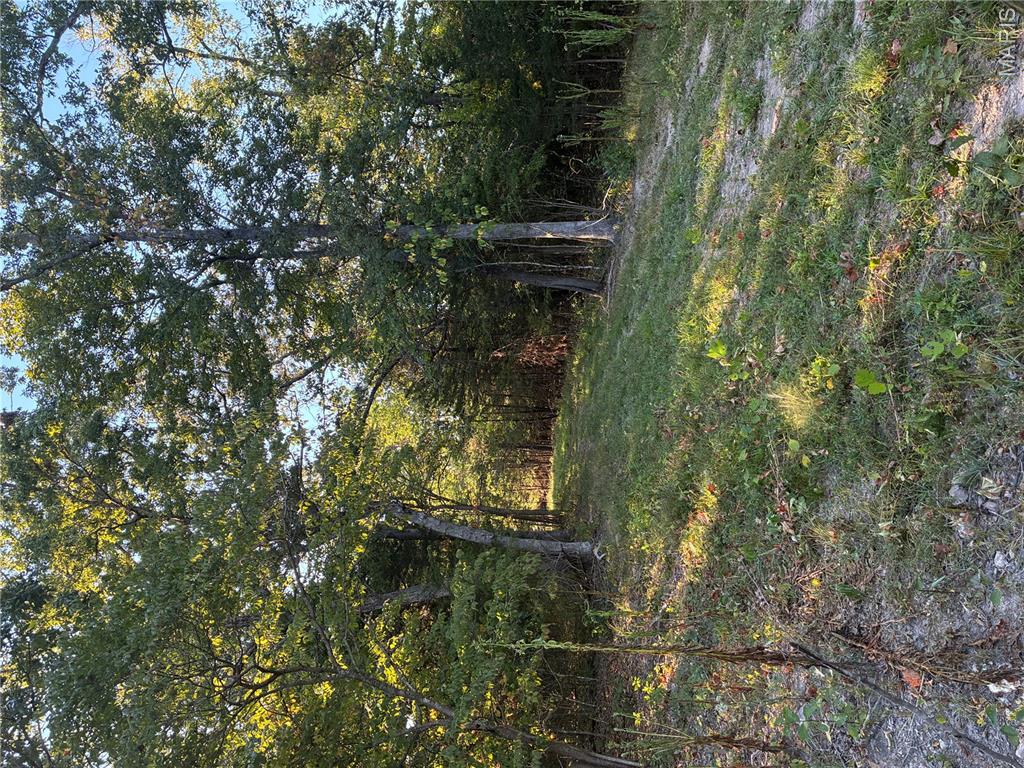 0 Lot H Armadillo Lane