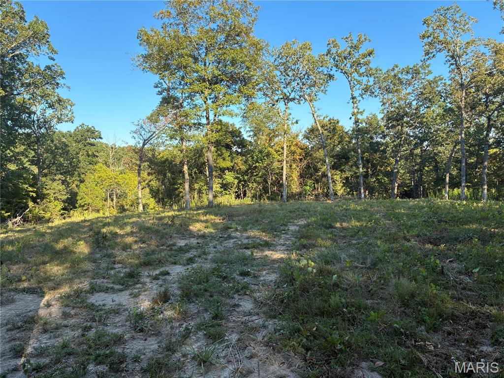 0 Lot H Armadillo Lane