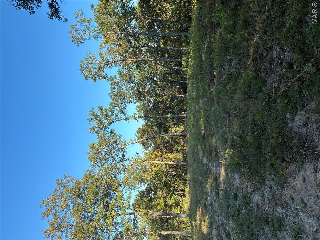 0 Lot H Armadillo Lane