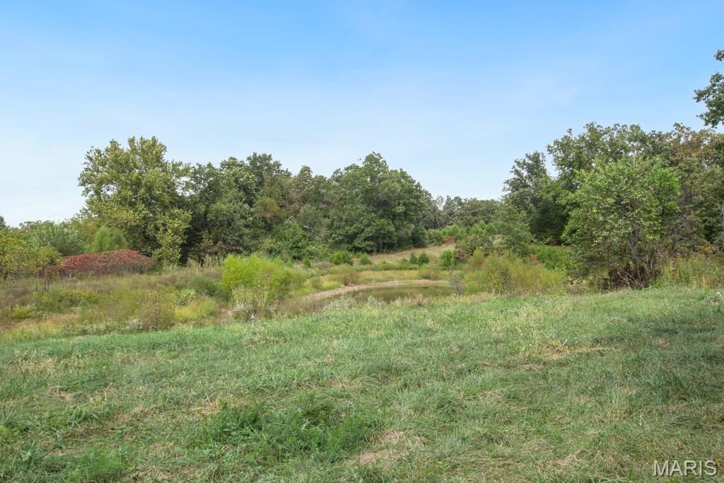 1335 Wildcat Road