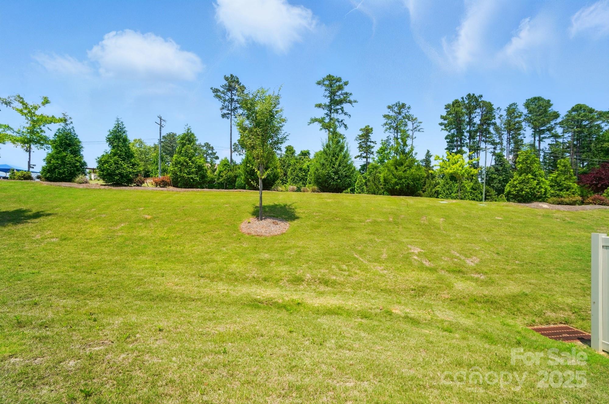 5334 Orchid Bloom Drive