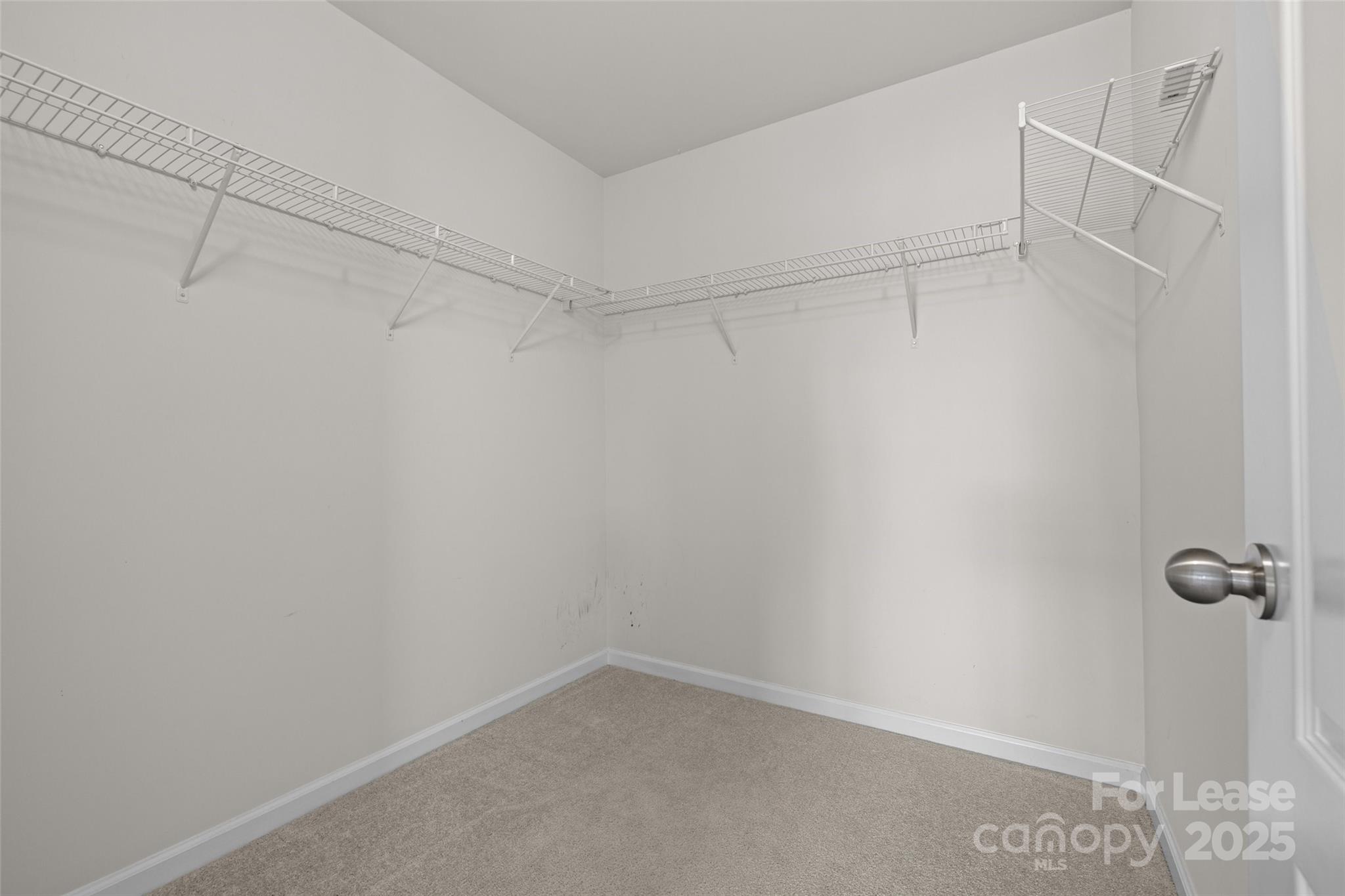 5334 Orchid Bloom Drive
