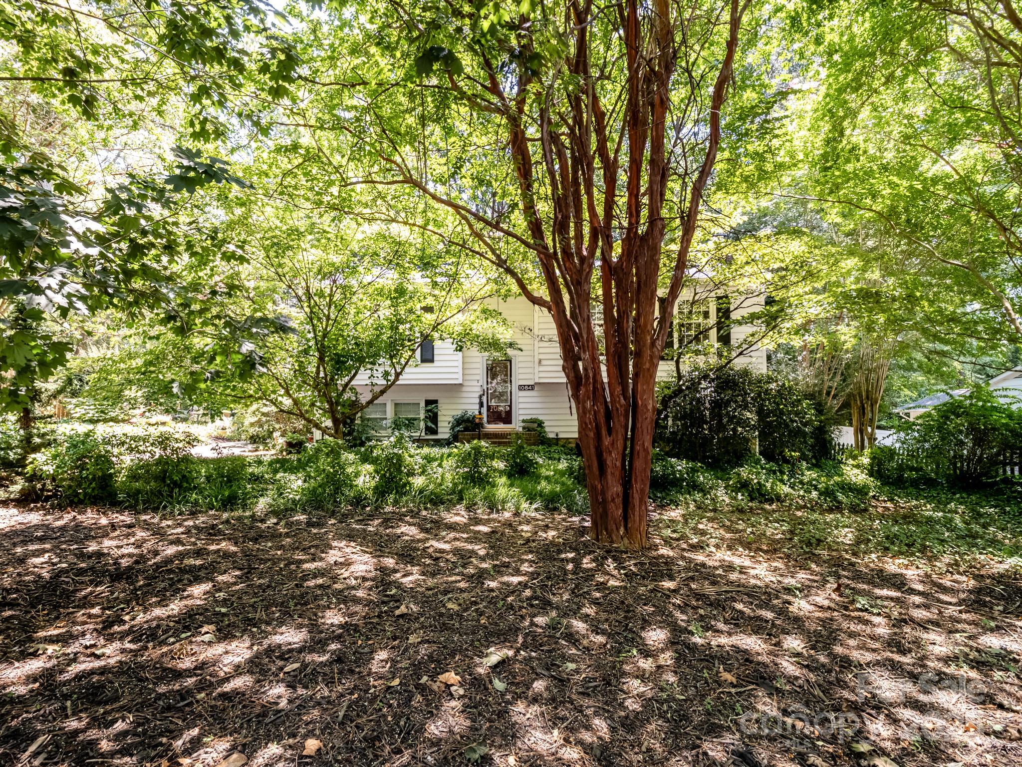 10841 Flat Iron Road